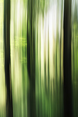 Poster - Abstract blurred forest trees with green vertical streaks, capturing the essence of motion and the tranquility of nature, symbolizing a dreamy, peaceful, and calming environment.