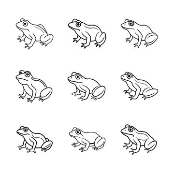 frog vector design 