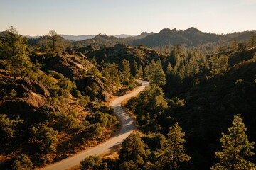 Wall Mural - Winding Road Through Mountainous Forest Landscape