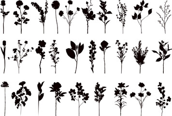 Wall Mural - flowers meadow and field collection silhouette on white background vector