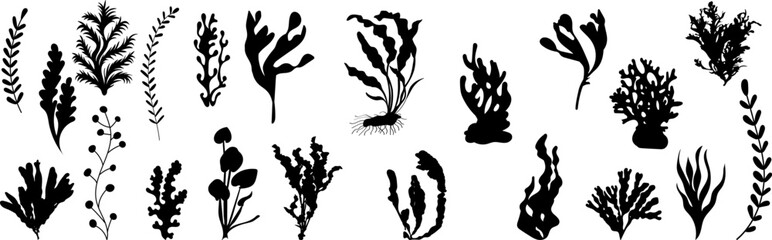 Wall Mural - algae collection silhouette on white background vector
