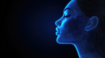 Poster - Digital Wireframe Portrait Of A Woman In Profile