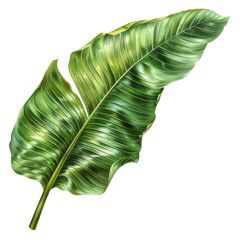 vibrant green tropical leaf with intricate textures and patterns, showcasing its natural beauty and lush appearance. Perfect for nature themed designs or backgrounds