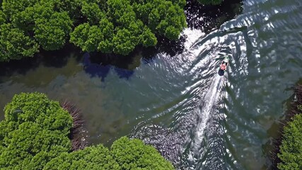 Aufkleber - Exploring a serene mangrove river landscape with a small boat during a sunny day