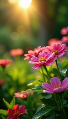 Wall Mural - Sunlit garden scene with blooming flowers and dew drops on petals, garden, nature