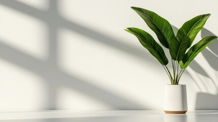 Poster - Minimalist workspace with natural light bright office wide angle uncluttered design