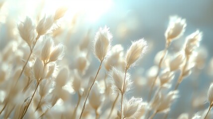Aufkleber - Delicate white blooms sway gracefully amidst the calming embrace of warm sunlight, evoking a sense of peace and tranquility in this serene natural setting