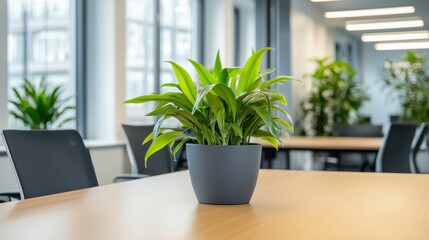 Poster - Modern Corporate Office with Indoor Plants
