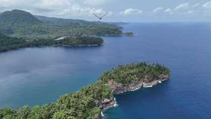 Canvas Print - Sao Tome and Principe - Aerial View Near Micondo. Stunning Tropical Coastline With Lush Green Hills and Deep Blue Ocean.