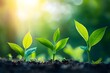 © Guy - Three Young Green Seedlings Growing in Soil Sunlight Nature Growth Spring