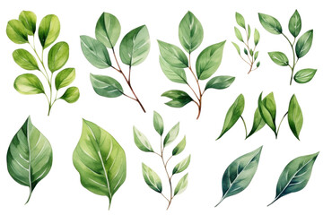 Naklejka na meble Green leaves or branches illustration 