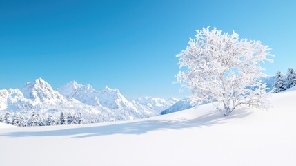 Wall Mural - Snowy mountain landscape, single tree, winter scene