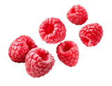 falling raspberries isolated on white background, cutout