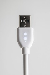 Poster - A close-up shot of a white USB cable
