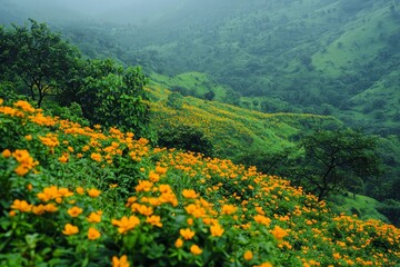 Wall Mural - Guransh Laali flowers cover the lower hillsides.