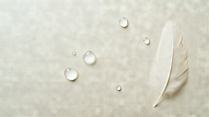 Poster - white feather on white tablecloth, drips nearby, another white feather on the same tablecloth