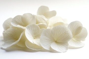 Poster - A bouquet of white flowers arranged neatly on a white surface, perfect for decorative or editorial use