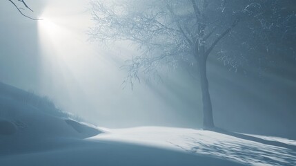 Poster - A vast, softly lit backdrop with subtle shadows. A spotlight casts a hazy glow, creating a wintery atmosphere. Perfect for showcasing products, cosmetics, or food for branding or presentations.