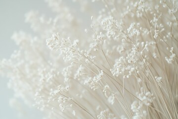 Poster - A detailed view of a cluster of pure white blooms