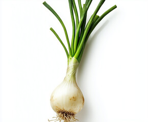 Wall Mural - fresh green onion