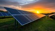 © Monchisa - Solar Panels Under Sunset Glow at Renewable Energy Farm