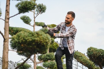 Garden worker trimming trees with scissors. garden shop