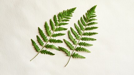 Poster - Two vibrant green fern leaves are arranged artistically on a textured canvas background, creating a simple yet elegant natural composition with copy space
