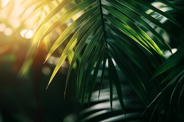 Poster - Golden sunlight filters through tropical palm leaves, creating a mesmerizing interplay of light and shadow in a lush jungle setting, evoking a sense of tranquility and natural beauty