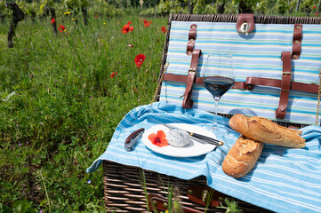 Wall Mural - Picnic with cheese and baguette, French Cendre Lait cru Chevre cheese made from goat milk with ash in France served outdoor