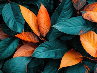vibrant foliage displaying a rich mix of teal green and burnt orange leaf tones