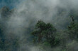 © Leonardo Borges/Stocksy - Cloud Forest in Monteverde