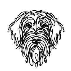 Wall Mural - Wirehaired pointing griffon dog head line art drawing outline illustration design	