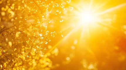 Poster - Radiant golden sunlight beams shining and sparkling in a warm vibrant natural environment evoking a sense of energy power and rejuvenation  The brilliant