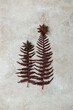 © Yaroslav Danylchenko/Stocksy - Delicate Christmas trees crafted from dried ferns and spices