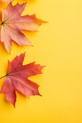 Wall Mural - Two red maple leaves are lying on a yellow background, creating copy space for autumn-themed designs