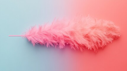 Poster - Gradient background from light blue to light red with a pink feather duster resting on top