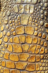 Poster - Close up on a crocodile skin showing its texture and pattern, for a wild background