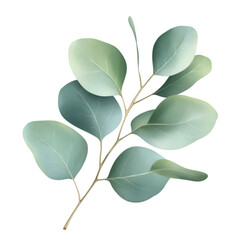 Wall Mural - watercolor of eucalyptus leaf isolated on white or transparent background, png. generative ai