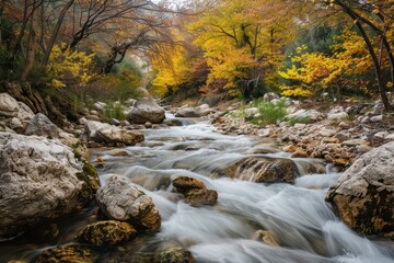 Canvas Print - Autumn Landscape with Blooming Trees and Tranquil River Flow