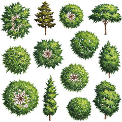 Poster - Set of watercolor Trees from Above and side view for Digital Composition isolated on  white background . Generative AI