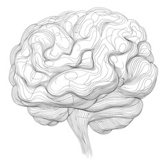 Poster - Abstract Representation of a Brain with Intricate Line Design