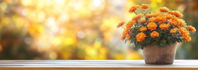 Poster - Orange chrysanthemum flowers in a pot on a wooden surface with a blurred autumnal background.