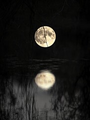 full moon reflected on a calm body of water.jpeg