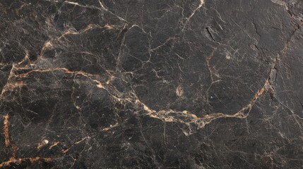 Poster - Black Marble Stone Texture With Veins