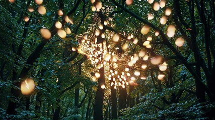 Leinwandbilder - a glowing golden light radiating through tree branches with floating firefly-like particles.