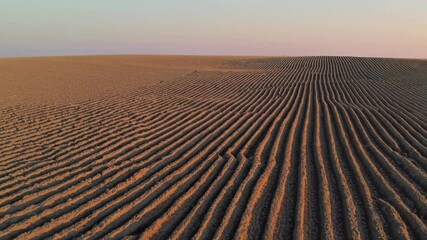 Aufkleber - Expansive agricultural field with intricate patterns at sunset in the countryside