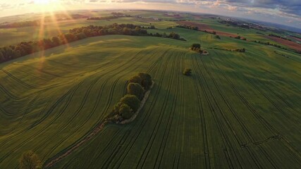 Poster - Sunset over rolling green fields with shadowy trees and distant hills in serene rural landscape
