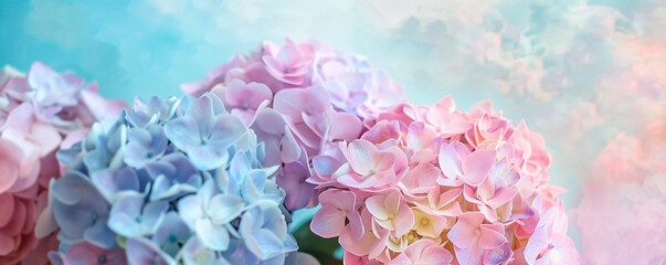 Poster - Blooming hydrangea flowers creating a serene and dreamy atmosphere