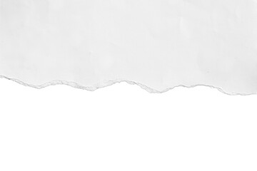 realistic torn paper edge. ripped white paper mockup isolated on transparent background. piece of ri