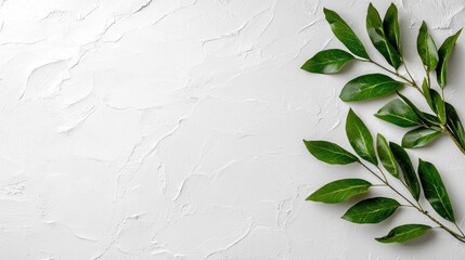 Wall Mural - Green leaves on white textured background.  Perfect for blogs, websites, or social media